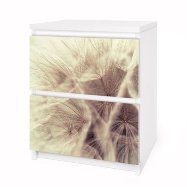 Carta adesiva per mobili IKEA - Malm Cassettiera 2xCassetti - Detailed dandelions macro shot with vintage blur effect