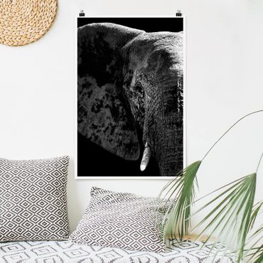 Poster - African Elephant Bianco e nero - Verticale 3:2