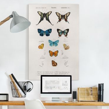 Stampa su tela - Vintage Consiglio Butterflies I - Verticale 3:2