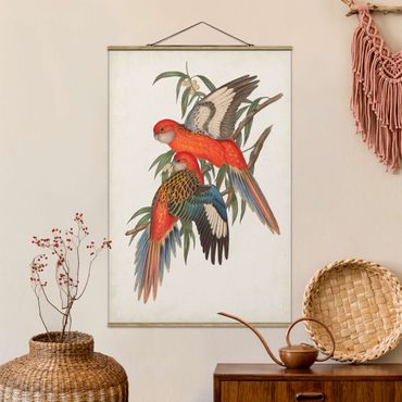 Foto su tessuto da parete con bastone - Tropical Parrot I - Verticale 3:2