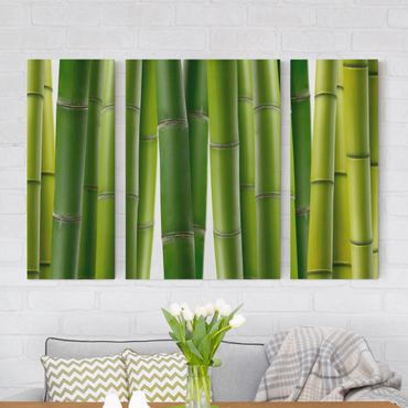 Stampa su tela 3 parti - Bamboo Plants - Trittico