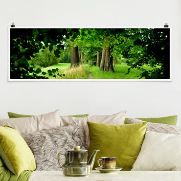 Poster - Hidden Glade - Panorama formato orizzontale