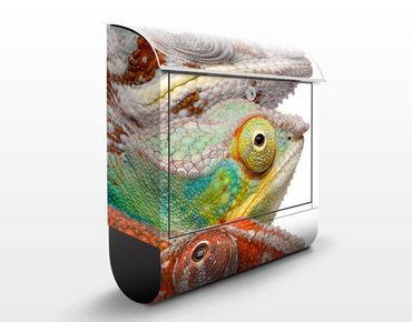 Cassetta postale Colorful Chameleon 39x46x13cm