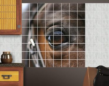 Adesivo per piastrelle - Horse Eye