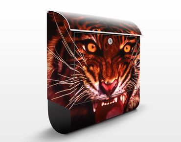 Cassetta postale Wild Tiger 39x46x13cm