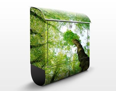 Cassetta postale Trees Of Life 39x46x13cm
