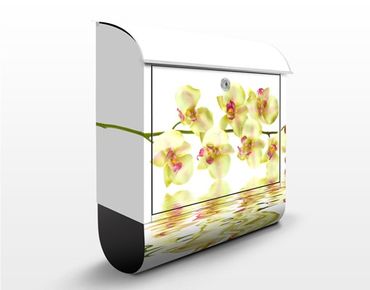 Cassetta postale design Dreamy Orchid Waters 39x46x13cm