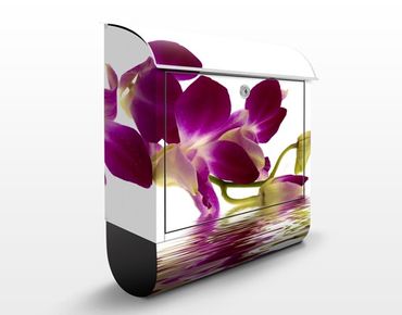 Cassetta postale Pink Orchid Waters 39x46x13cm