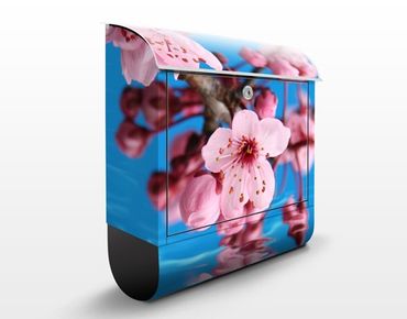 Cassetta postale Cherry Blossom 39x46x13cm