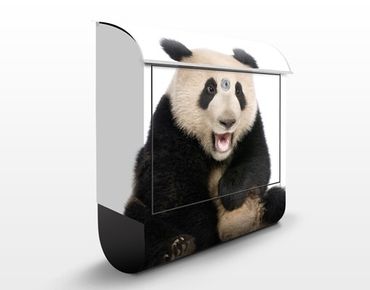 Cassetta postale Laughing Panda 39x46x13cm