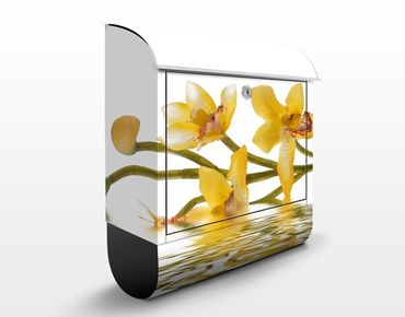Cassetta postale design Saffron Orchid Waters 39x46x13cm