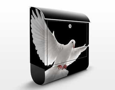 Cassetta postale Dove Of Peace 39x46x13cm
