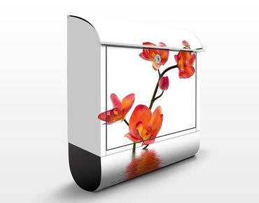 Cassetta postale design Flamy Orchid Waters 39x46x13cm