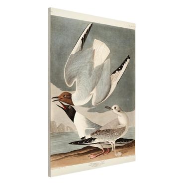 Lavagna magnetica - Vintage Consiglio Bonaparte Gull - Formato verticale 2:3