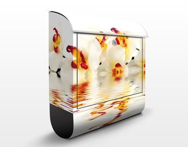 Cassetta postale design Vivid Orchid Waters 39x46x13cm
