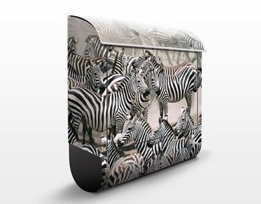 Cassetta postale Zebra Herd 39x46x13cm