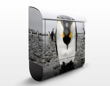 Cassetta postale Pinguin 39x46x13cm