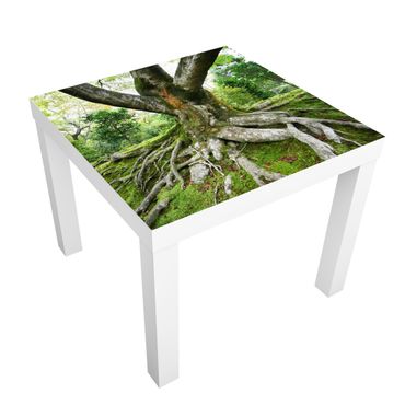 Carta adesiva per mobili IKEA - Lack Tavolino Old Tree