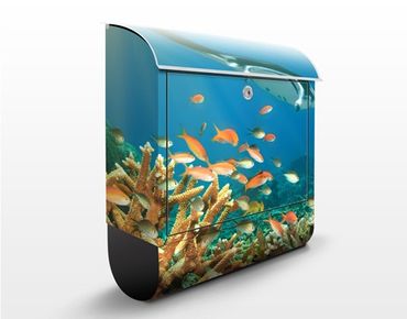 Cassetta postale Coral Reef 39x46x13cm