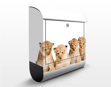 Cassetta postale Sweet Lion Babys 39x46x13cm