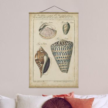Foto su tessuto da parete con bastone - Vintage Conch Disegno modella variopinto - Verticale 3:2