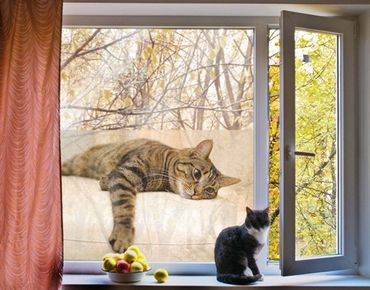 Decorazione per finestre Cat Chill Out