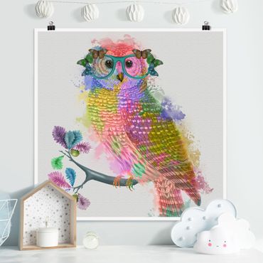 Poster - Arcobaleno Splash Owl - Quadrato 1:1