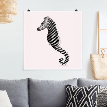 Poster - Seahorse Con Zebra Stripes - Quadrato 1:1