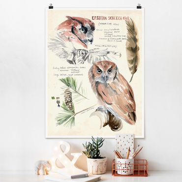 Poster - Wilderness Journal - Owl - Verticale 4:3