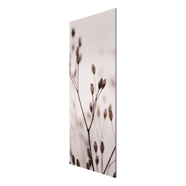 Stampa su alluminio - Gemme scure su ramo di fiori selvatici