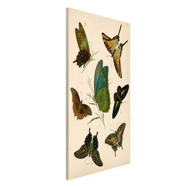 Lavagna magnetica - Illustrazione Vintage farfalle esotiche - Formato verticale 4:3