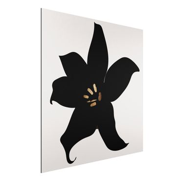 Aluminium Print - Grafische Pflanzenwelt - Orchidee Schwarz und Gold - Quadrat 1:1