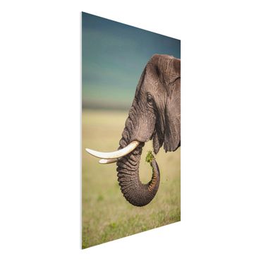 Quadro in forex - Elefanti alimentazione a Africa - Verticale 2:3