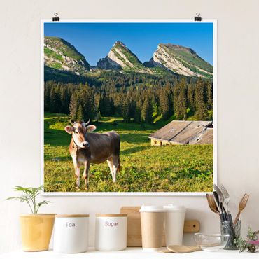 Poster - Swiss Alpine Prato con la mucca - Quadrato 1:1
