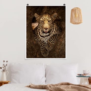 Poster - Leopard riposo su un albero - Verticale 4:3