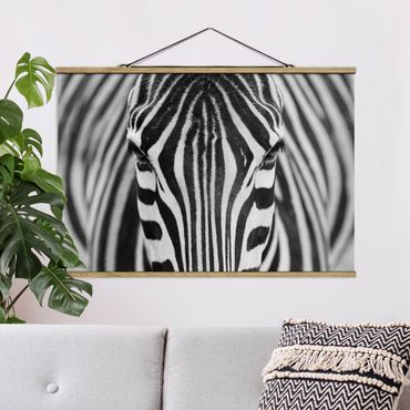 Foto su tessuto da parete con bastone - zebra sguardo - Orizzontale 2:3