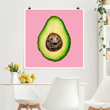 Poster - Avocado Con Hedgehog - Quadrato 1:1