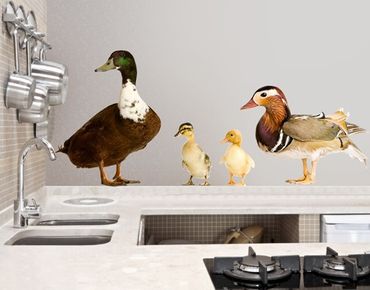 Adesivo murale no.722 The Duck Family