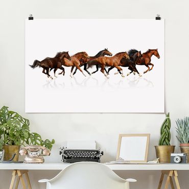 Poster - Horse Herd - Orizzontale 2:3