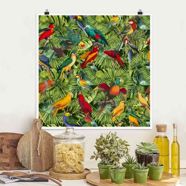 Poster - Colorato collage - Parrot In The Jungle - Quadrato 1:1