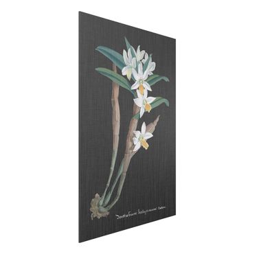 Stampa su alluminio spazzolato - White Orchid su tela di canapa I - Verticale 3:2