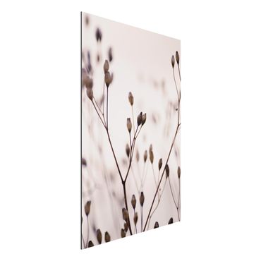 Stampa su alluminio - Gemme scure su ramo di fiori selvatici