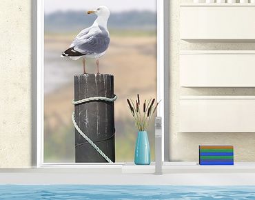 Adesivi da finestra no.YK16 Curious Gull