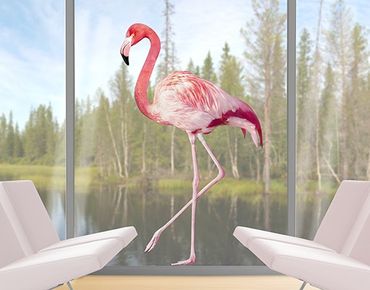 Adesivi da finestra no.YK Pink Flamingo