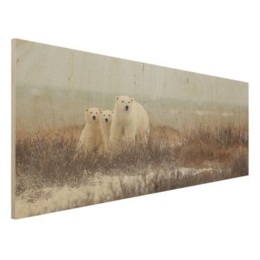 Quadro in legno - Orso polare e suoi cuccioli - Panoramico