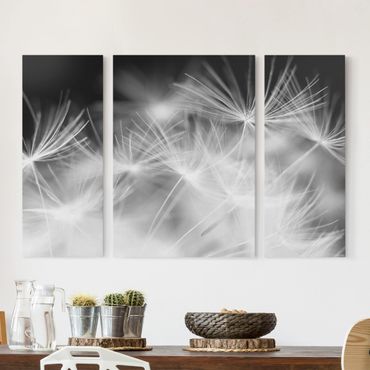 Stampa su tela 3 parti - Moving Dandelions Close Up On Black Background - Trittico