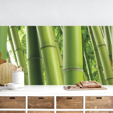Rivestimento cucina - Alberi Di Bambù