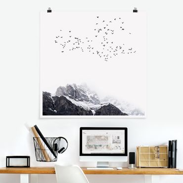 Poster - Stormo di uccelli davanti a montagne bianco e nero - Quadrato 1:1
