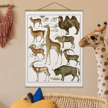 Foto su tessuto da parete con bastone - Vintage Consiglio giraffa, cammello e Llama - Verticale 4:3