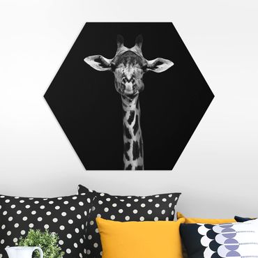 Esagono in forex - Scuro Ritratto della giraffa